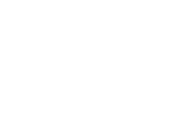 H2X